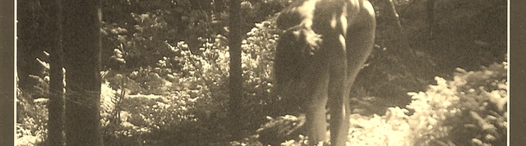 Colin Jost