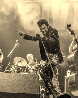 Elvis Spectacular