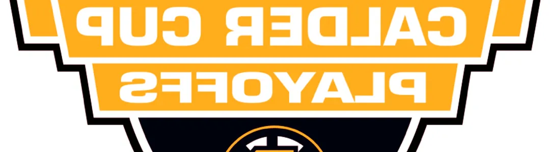 Providence Bruins