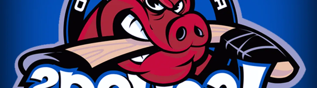 Rockford Icehogs 