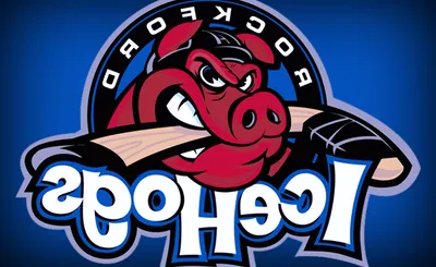 Rockford Icehogs 