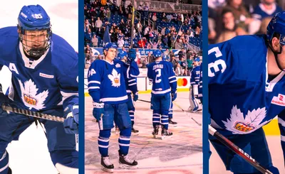 Toronto Marlies