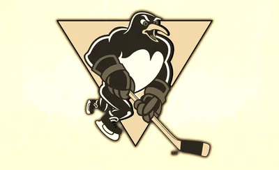 Wilkes-Barre Scranton Penguins